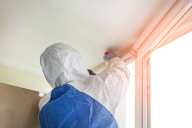 Best Mold Damage Restoration  in Clifton Springs, NY