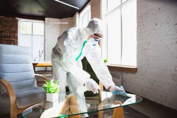 Best Mold Odor Removal Services  in Clifton Springs, NY