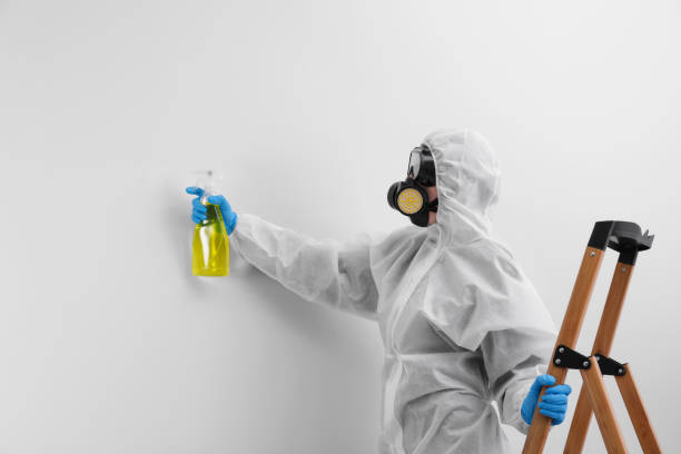 Best Mold Remediation for Healthcare Facilities  in Clifton Springs, NY