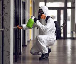 Trusted Clifton Springs, NY Mold Removal & Remediation Experts